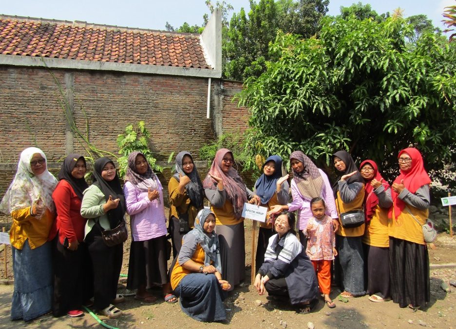 Hidupkan Lahan Kosong! Mahasiswa KKN TIM II UNDIP dan Kader Kesehatan Sunggingan Berkolaborasi Ciptakan Apotek Hidup