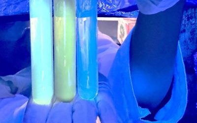 Fast and Affordable Sensor Developed by FSM UNDIP Students Detects Hidden Antibiotics in Food